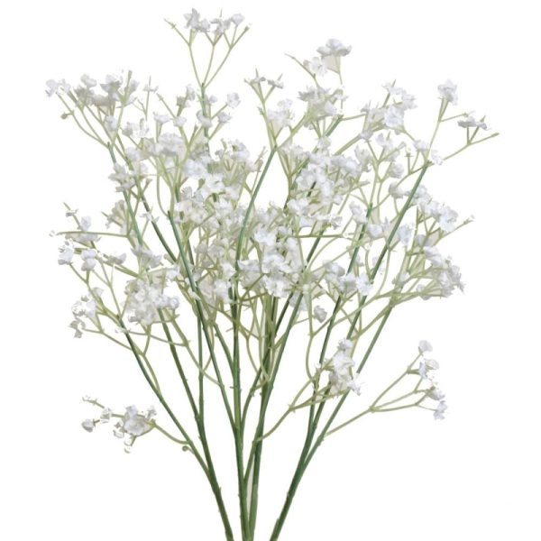 Gypsophila Bush x15, 20" White | Pioneer Wholesale Filler Bushes