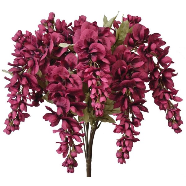 Hanging Wisteria Bush x9, 19" Berry | Pioneer Wholesale Single Variety Flower Bushes