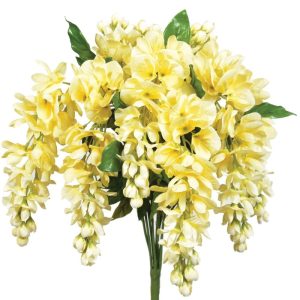 Hanging Wisteria Bush x9, 19" Yellow | Pioneer Wholesale Single Variety Flower Bushes