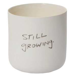 Honesty – Still Growing Ceramic Pot 4.75×4.5" | Pioneer Wholesale Containers for Succulents