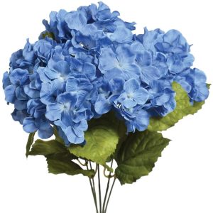 Hydrangea Bush x5, 17" Blue Jeans | Pioneer Wholesale Single Variety Flower Bushes