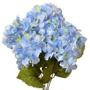 Hydrangea Bush x5, 17" Blue/Green Mix | Pioneer Wholesale Single Variety Flower Bushes