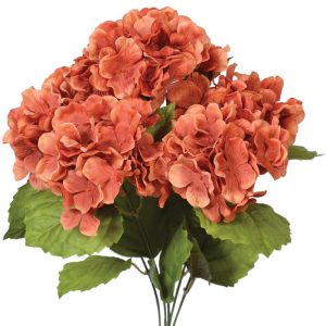 Hydrangea Bush x5, 17" Burnt Coral | Pioneer Wholesale Single Variety Flower Bushes