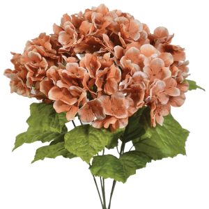 Hydrangea Bush x5, 17" Cinnamon Taupe | Pioneer Wholesale Single Variety Flower Bushes