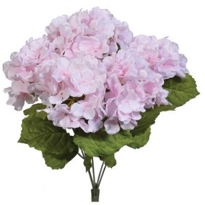 Hydrangea Bush x5, 17" Pink | Pioneer Wholesale Single Variety Flower Bushes