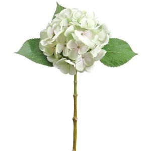 Hydrangea Stem 19" Green | Pioneer Wholesale Other Stems