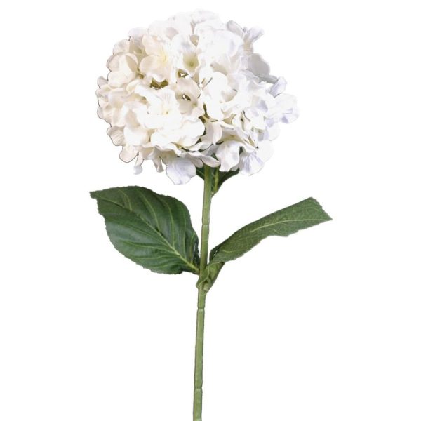 Hydrangea Stem 29" Chalk | Pioneer Wholesale Premium Stems