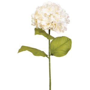 Hydrangea Stem 29" Cream | Pioneer Wholesale Premium Stems