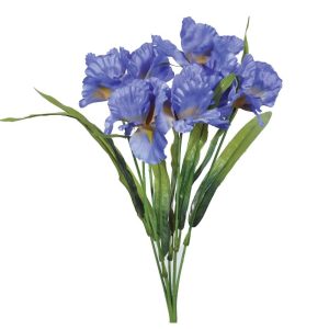 Iris Bush x7, 20" Blue | Pioneer Wholesale Single Variety Flower Bushes