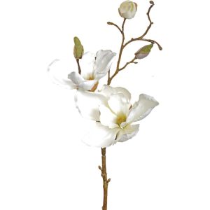 Magnolia Spray 19" Cream | Pioneer Wholesale Other Stems