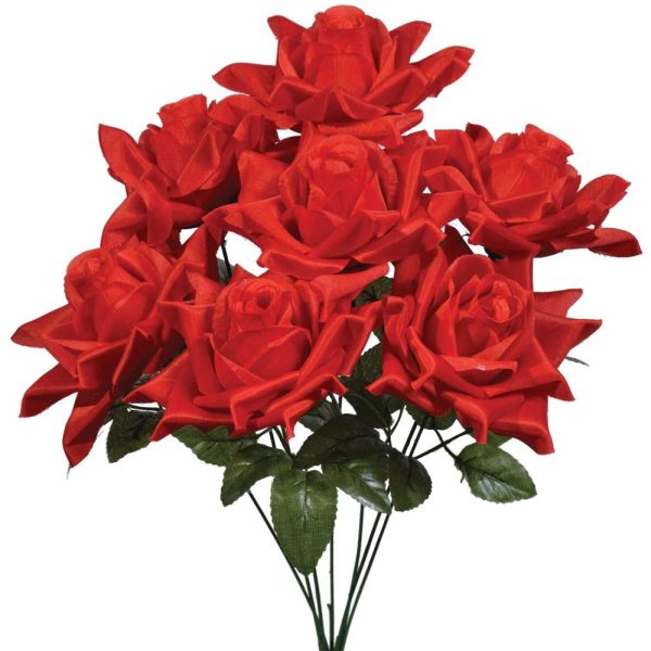 May Rose Bush x7, 19" Red | Pioneer Wholesale Monument Bushes