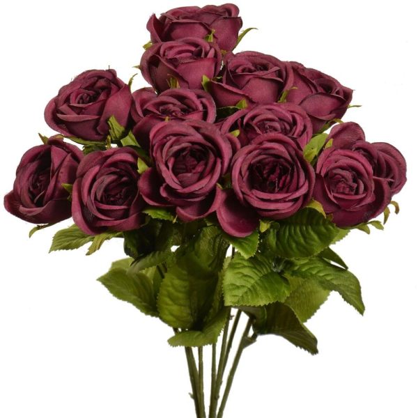 Mini Cabbage Rose Bush x7, 15" Aubergine | Pioneer Wholesale Single Variety Flower Bushes