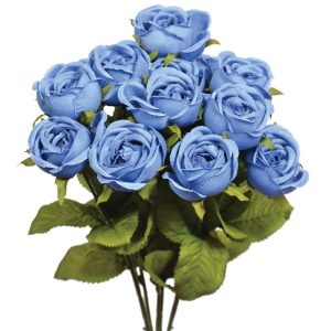 Mini Cabbage Rose Bush x7, 15" Blue Jeans | Pioneer Wholesale Single Variety Flower Bushes