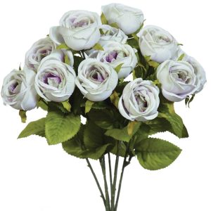 Mini Cabbage Rose Bush x7, 15" Green/Purple Mix | Pioneer Wholesale Single Variety Flower Bushes