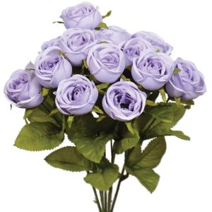 Mini Cabbage Rose Bush x7, 15" Lavender Fields | Pioneer Wholesale Single Variety Flower Bushes