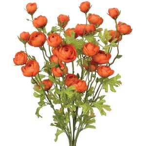 Mini Ranunculus Bush x7, 18" Orange | Pioneer Wholesale Single Variety Flower Bushes