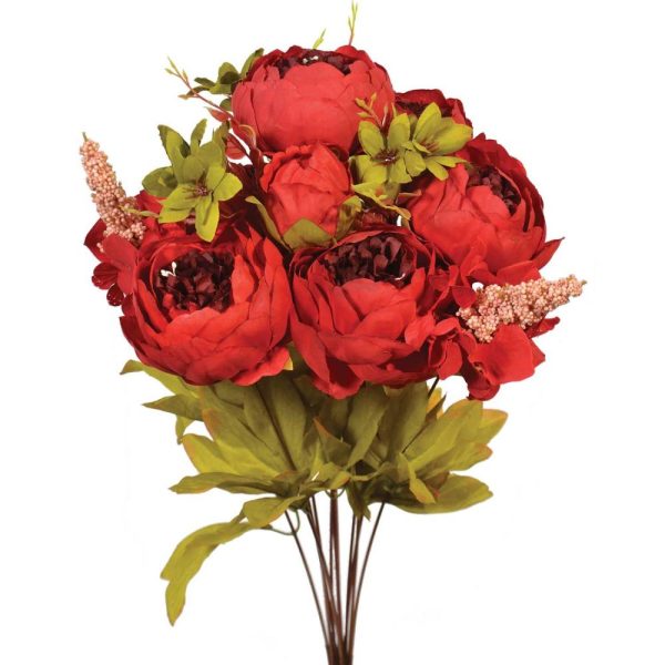 Mixed Peony Bush x13, 20" Red | Pioneer Wholesale Everyday Mixed Flower Bushes