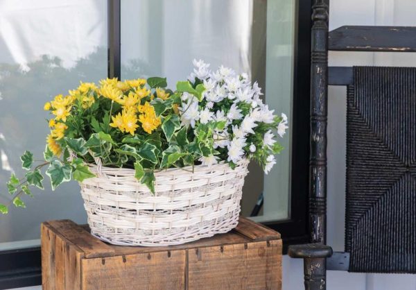 Oval Rope & Willow "Living Garden" Basket 17.5" Whitewash | Pioneer Wholesale No Liner