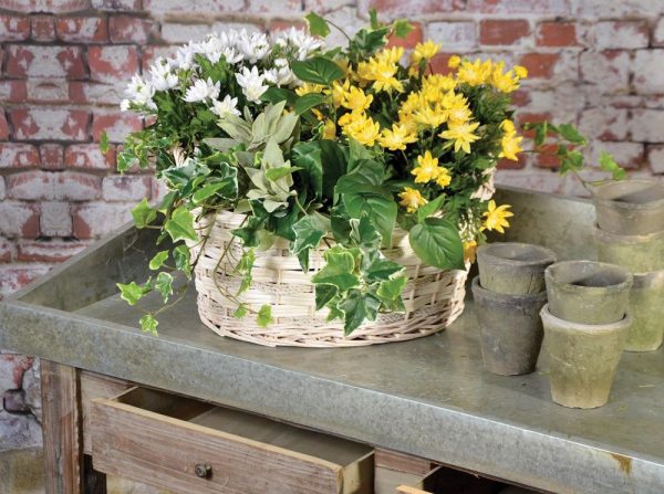 Oval Rope & Willow "Living Garden" Basket 17.5" Whitewash | Pioneer Wholesale No Liner