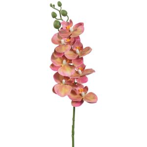 Phalaenopsis Orchid Spray 25" Lavender/Green | Pioneer Wholesale Orchid Stems