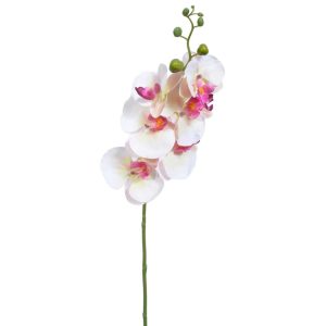 Phalaenopsis Orchid Spray 33" Pink/Cream | Pioneer Wholesale Orchid Stems