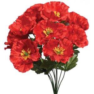 Poppy Bush x10, 16" Red | Pioneer Wholesale Single Variety Flower Bushes