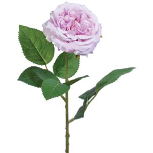 Premium Cabbage Rose Stem 19" Lilac | Pioneer Wholesale Rose Stems