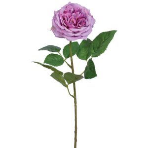 Premium Cabbage Rose Stem 19" Two-Tone Purple | Pioneer Wholesale Rose Stems