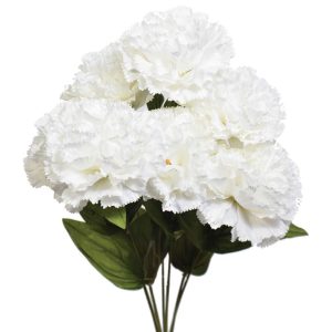 Premium Carnation Bush x7, 18.5" Chalk | Pioneer Wholesale Single Variety Flower Bushes