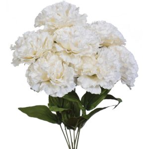 Premium Carnation Bush x7, 18.5" Cream | Pioneer Wholesale Single Variety Flower Bushes