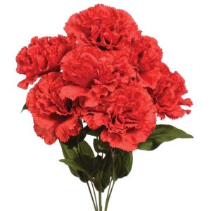 Premium Carnation Bush x7, 18.5" Red | Pioneer Wholesale Single Variety Flower Bushes