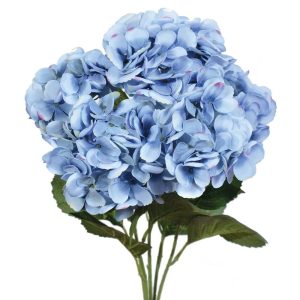 Premium Hydrangea Bush x5, 23" Blue | Pioneer Wholesale Single Variety Flower Bushes