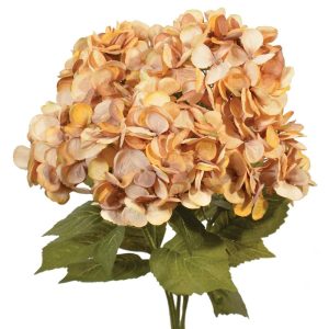 Premium Hydrangea Bush x5, 23" Mustard/Beige | Pioneer Wholesale Single Variety Flower Bushes