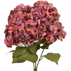 Premium Hydrangea Bush x5, 23" Purple/Pink | Pioneer Wholesale Single Variety Flower Bushes