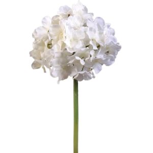 Premium Hydrangea Stem 15" Chalk | Pioneer Wholesale Premium Stems