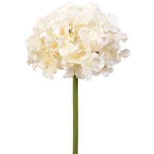 Premium Hydrangea Stem 15" Cream | Pioneer Wholesale Premium Stems