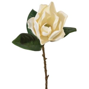 Premium Magnolia Stem 29" Cream | Pioneer Wholesale Other Stems