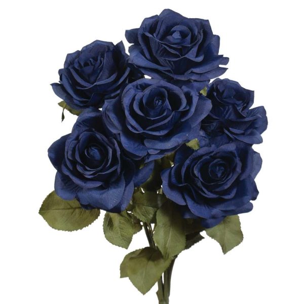 Premium Open Rose Bush x6, 20" Deep Navy | Pioneer Wholesale Single Variety Flower Bushes