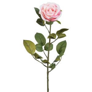 Premium Open Rose Stem 29" Blush | Pioneer Wholesale Rose Stems