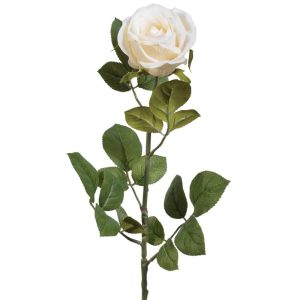 Premium Open Rose Stem 29" Cream | Pioneer Wholesale Premium Stems