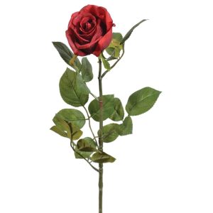 Premium Open Rose Stem 29" Garnet | Pioneer Wholesale Rose Stems