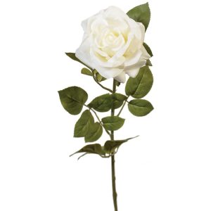 Premium Open Rose Stem 30" Chalk | Pioneer Wholesale Rose Stems