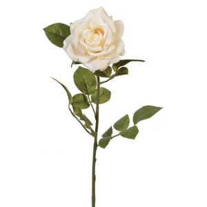 Premium Open Rose Stem 30" Cream | Pioneer Wholesale Premium Stems