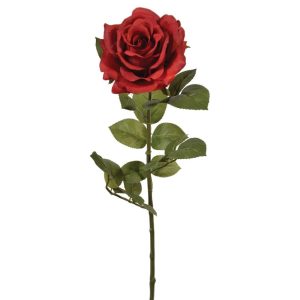 Premium Open Rose Stem 30" Garnet | Pioneer Wholesale Rose Stems