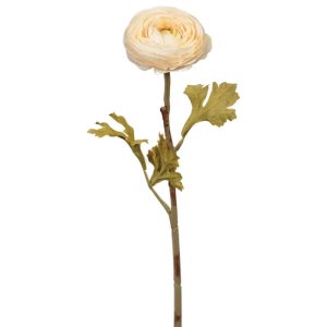 Premium Ranunculus Stem 19" Beige | Pioneer Wholesale Other Stems