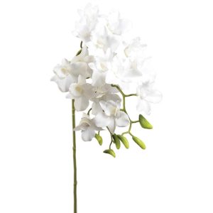 Premium Real Touch Dendrobium Orchid Spray 36" White | Pioneer Wholesale Orchid Stems