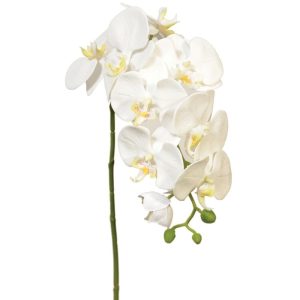 Premium Real Touch Phalaenopsis Orchid Spray 28" White | Pioneer Wholesale Premium Stems