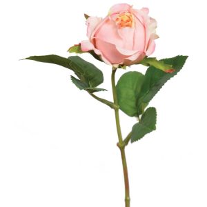 Premium Rose Bud Stem 14" Peach/Pink | Pioneer Wholesale Rose Stems