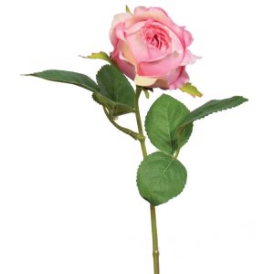 Premium Rose Bud Stem 14" Pink/Cream | Pioneer Wholesale Rose Stems