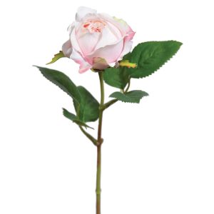 Premium Rose Bud Stem 14" Soft Pink | Pioneer Wholesale Rose Stems